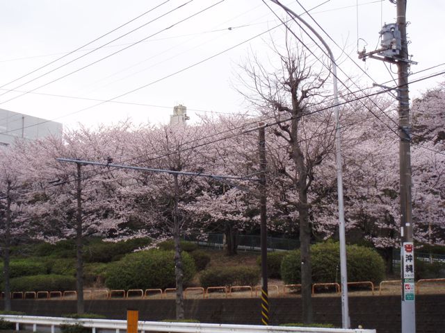 f0130894_20333388.jpg