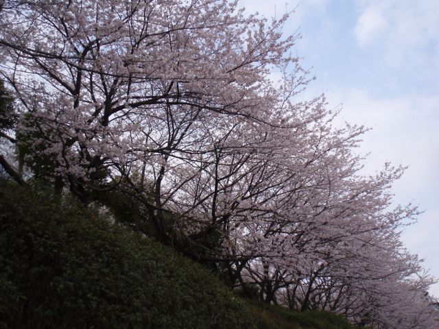 f0130894_20345672.jpg