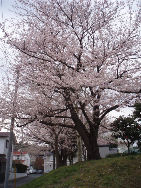 f0130894_20353154.jpg