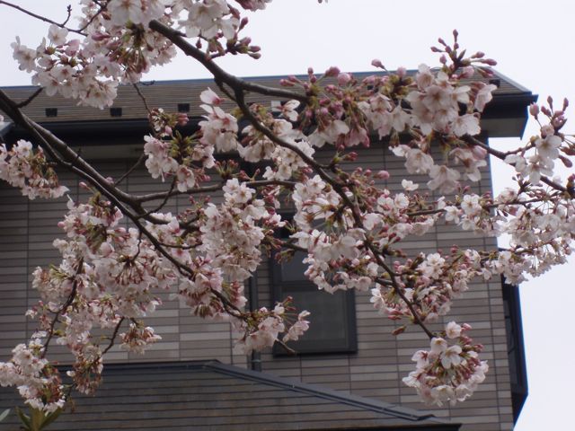 f0130894_20365954.jpg