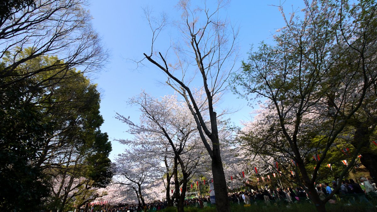 c0124795_23165637.jpg