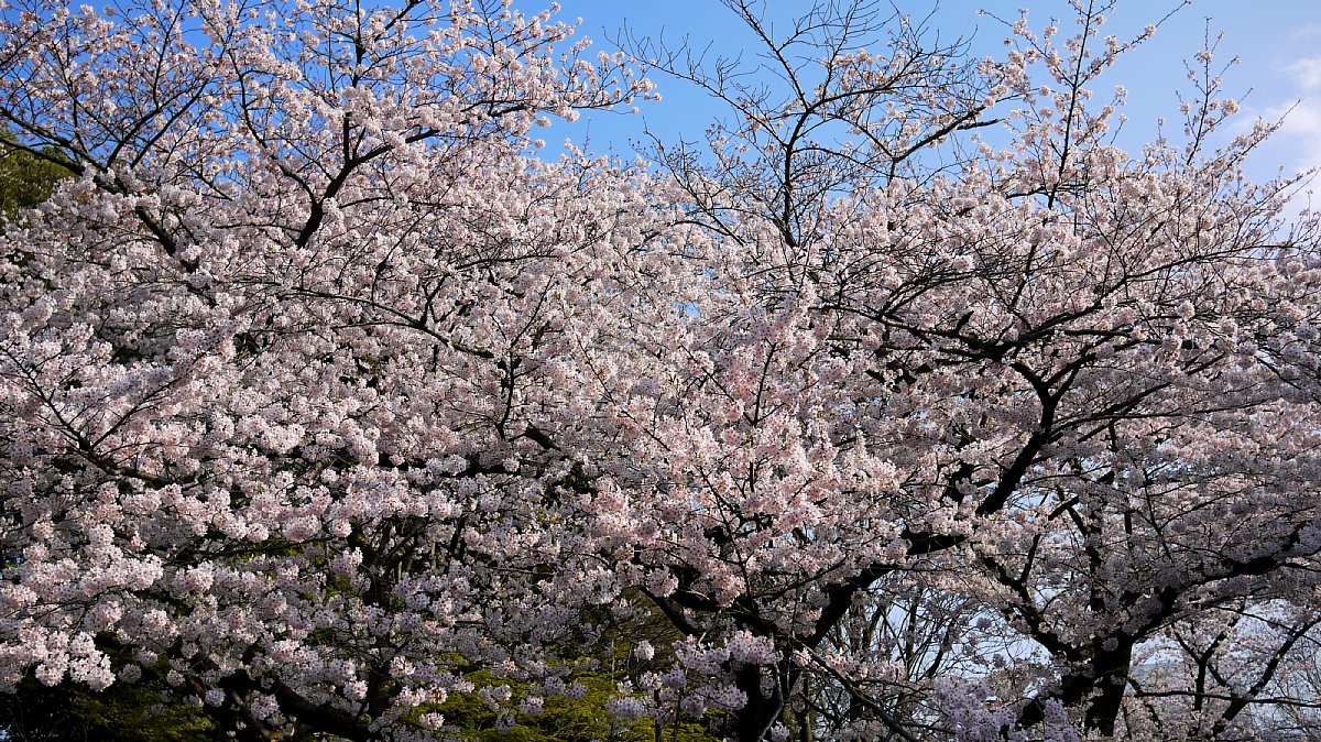 c0124795_2320357.jpg