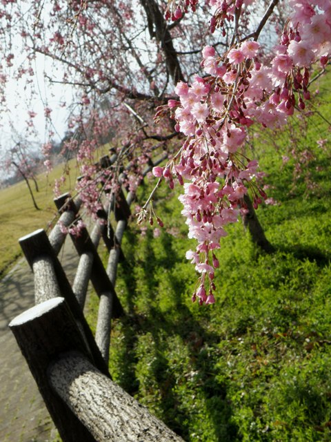 c0200895_0585553.jpg