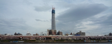 c0168096_738446.jpg