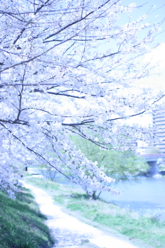 c0129498_11562225.jpg