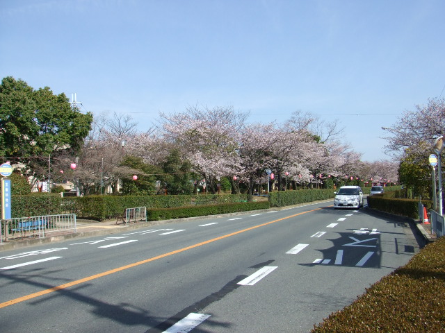 e0180099_18564626.jpg