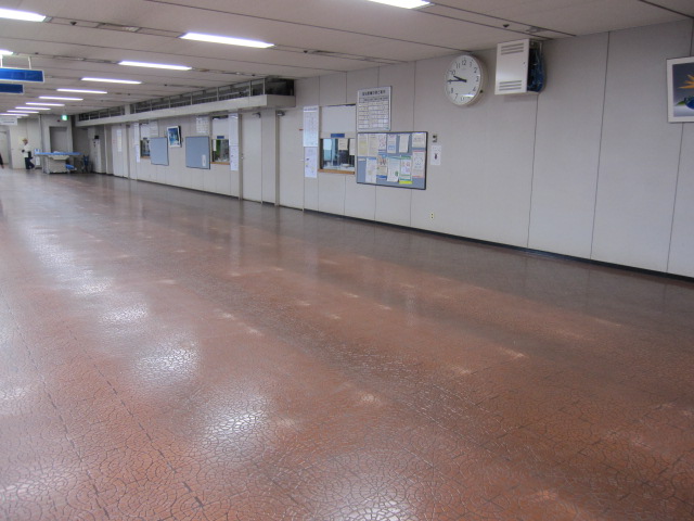 a0075800_15113936.jpg