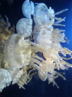 c0090100_22151854.jpg