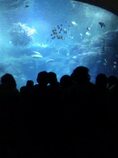 c0090100_22151858.jpg