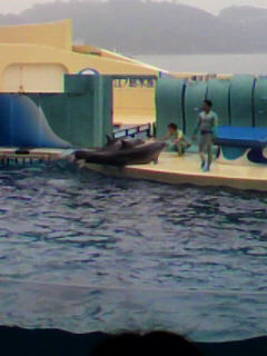 c0090100_22151879.jpg