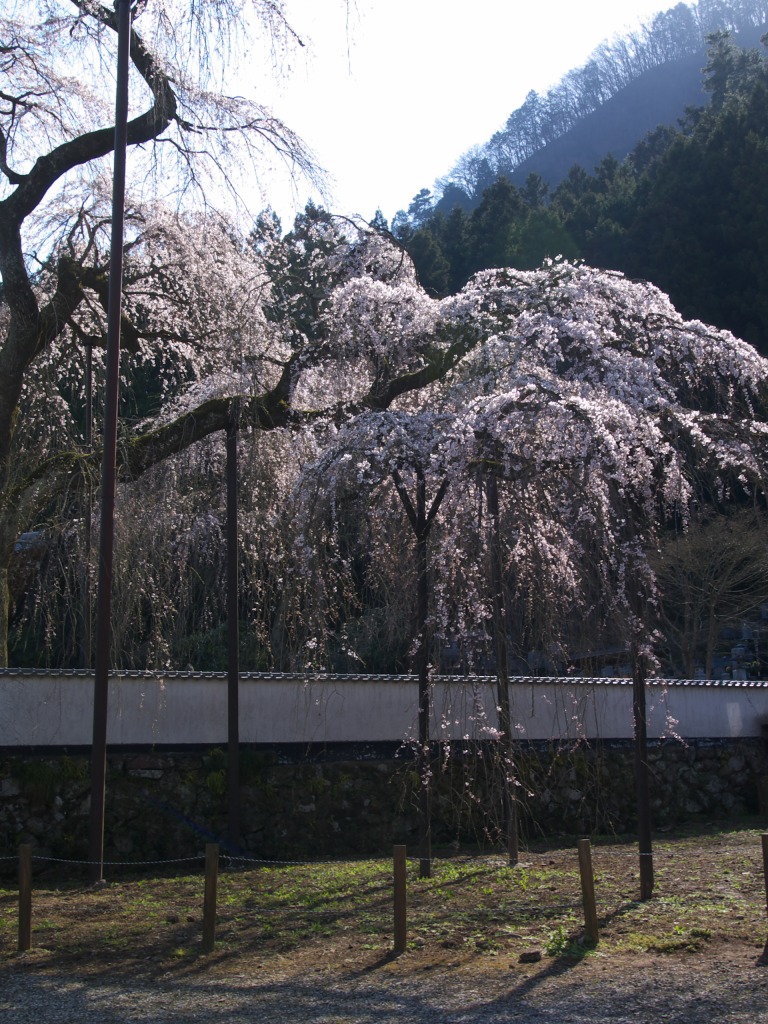 f0224100_016317.jpg