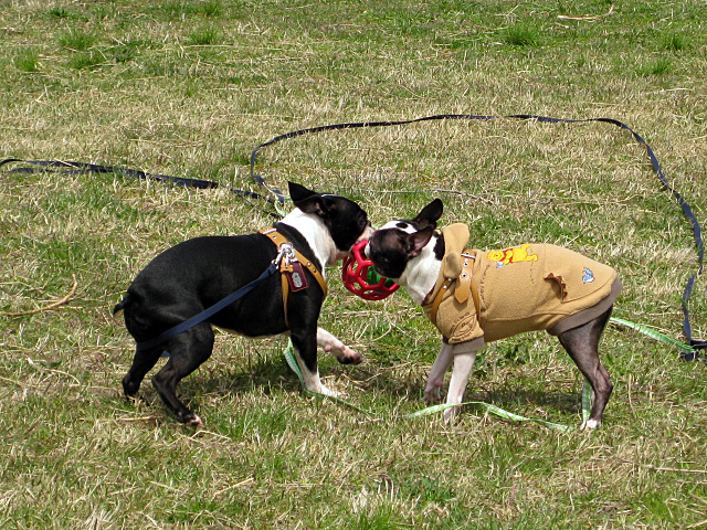 d0070702_2339961.jpg
