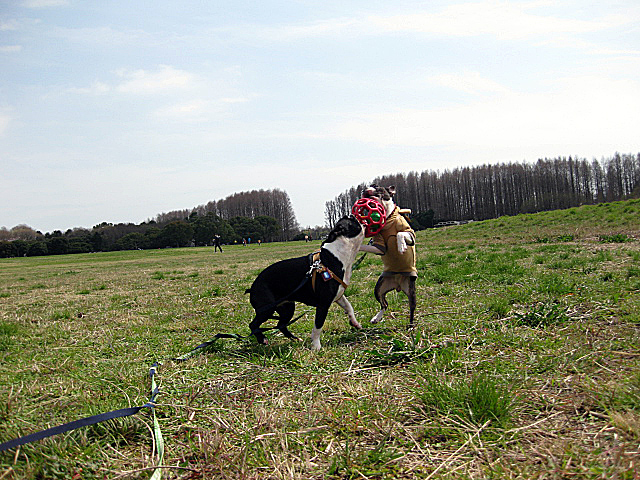 d0070702_234011.jpg