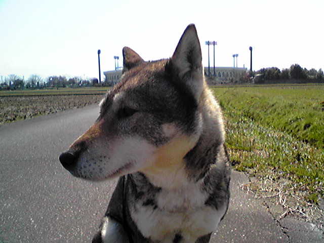 f0079202_1916355.jpg