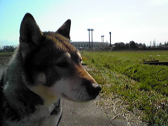 f0079202_1916360.jpg