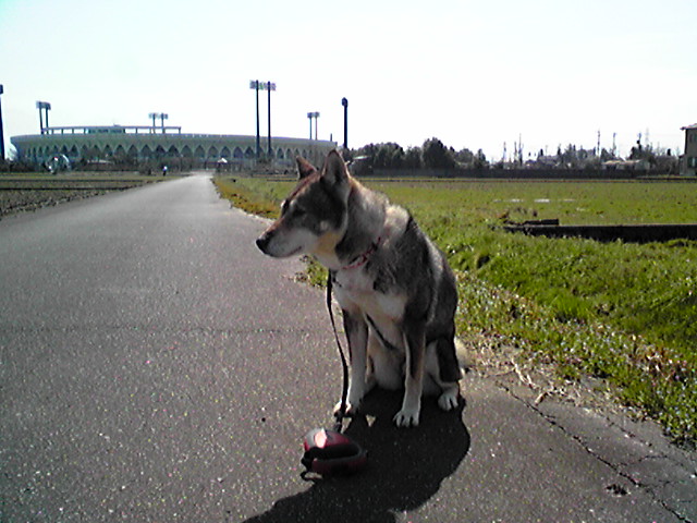 f0079202_1916364.jpg
