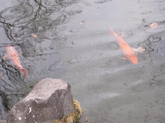 f0202703_18324162.jpg