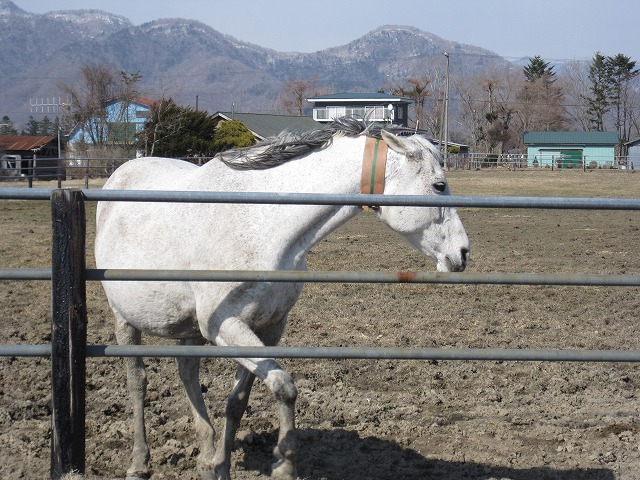 f0202703_2024495.jpg