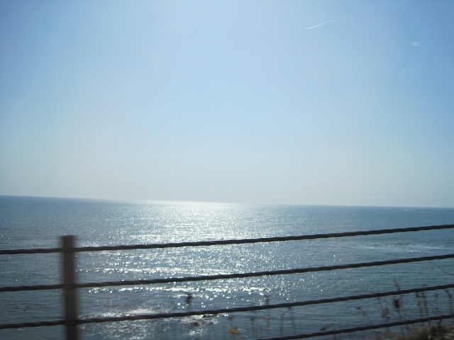 f0202703_2044022.jpg