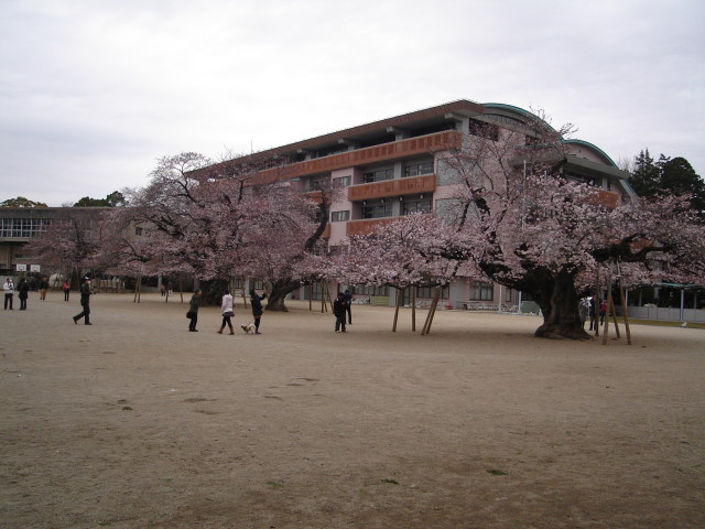 a0116205_22331899.jpg