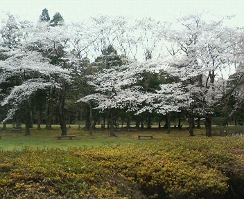 e0123206_920791.jpg