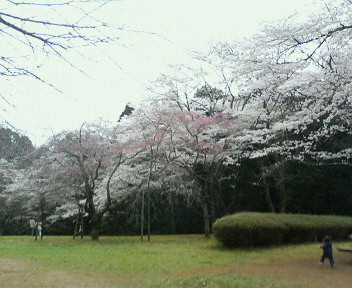 e0123206_9211380.jpg