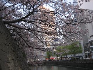 f0077807_14163537.jpg