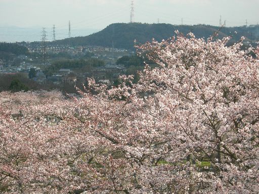 c0149408_1322226.jpg