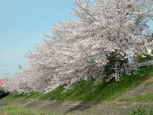 c0149408_1345448.jpg