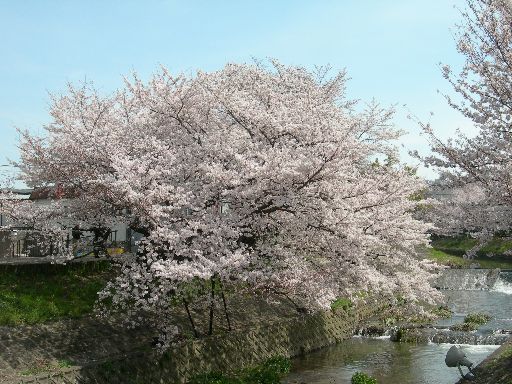 c0149408_1384153.jpg