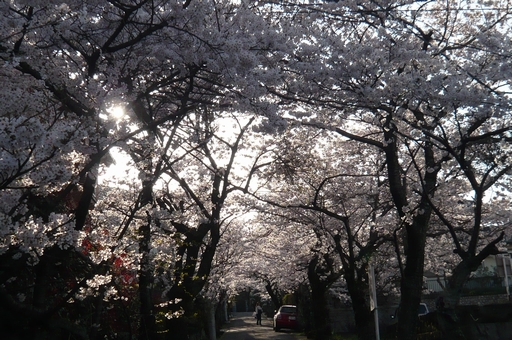 f0221708_1433350.jpg