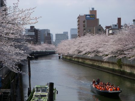 f0004309_16143348.jpg