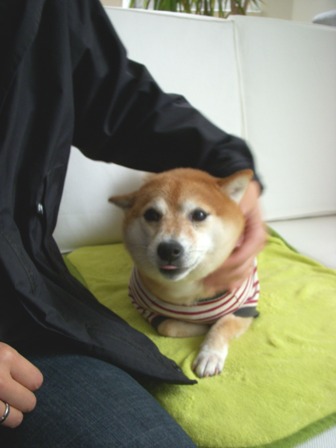 f0004309_1652314.jpg