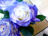 f0054809_2163328.jpg