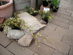 c0190010_21373033.jpg