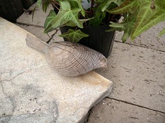 c0190010_21374375.jpg