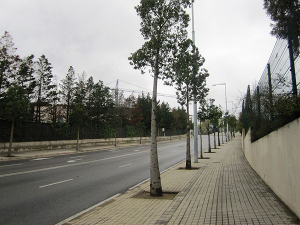 b0064411_162074.jpg