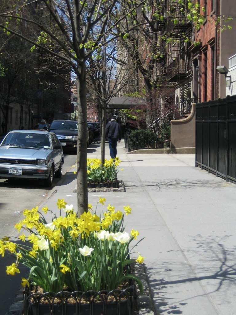 e0196912_5473629.jpg