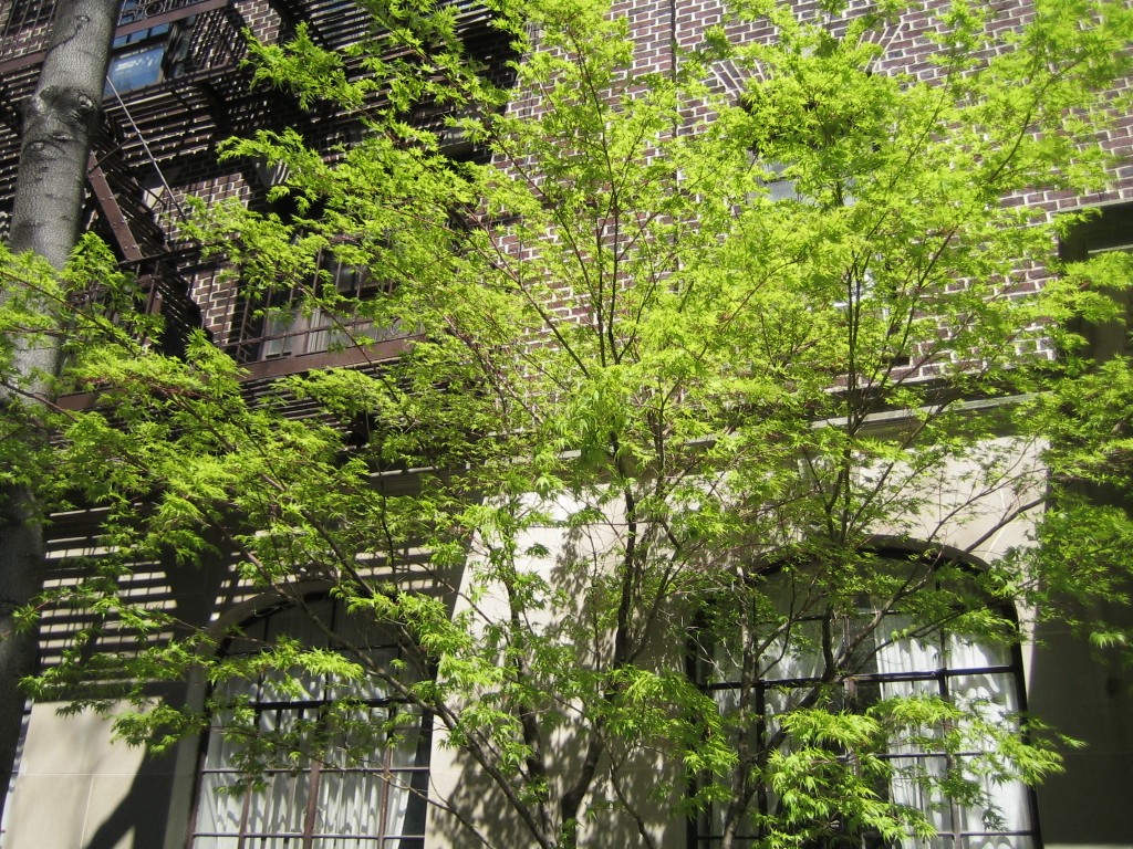 e0196912_556120.jpg