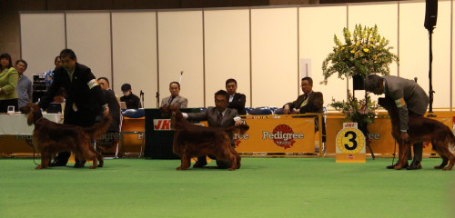 f0083013_16233668.jpg