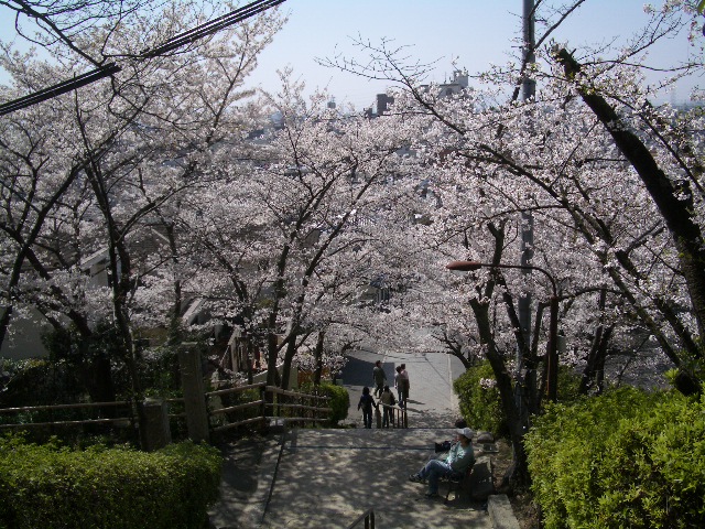 b0148714_121322.jpg