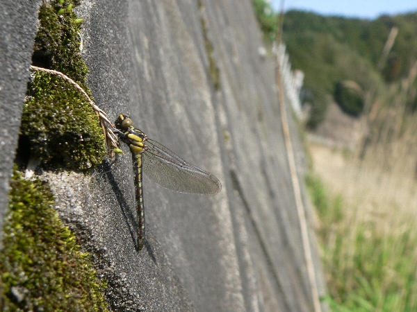 e0002314_231339.jpg