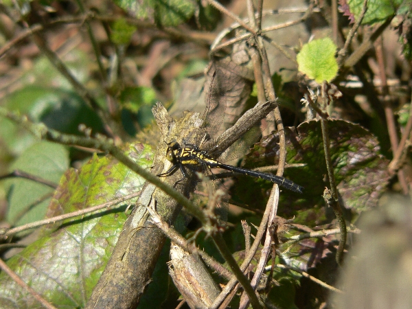 e0002314_23151381.jpg