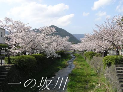 b0167815_1942236.jpg
