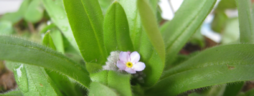 c0175715_21837100.jpg