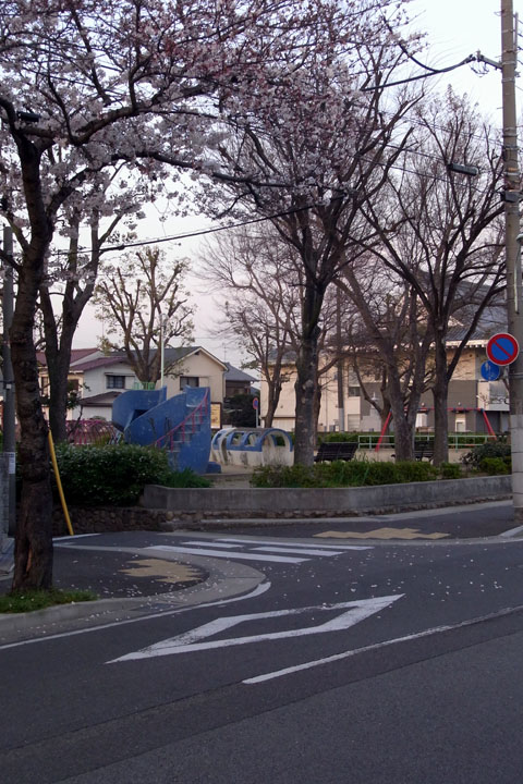 e0083517_23511556.jpg