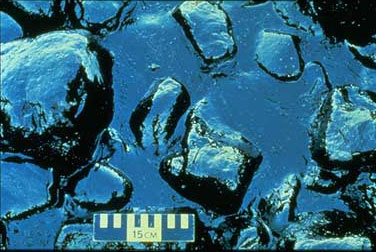 f0166919_1453847.jpg