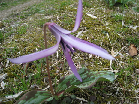 c0197220_14244894.jpg