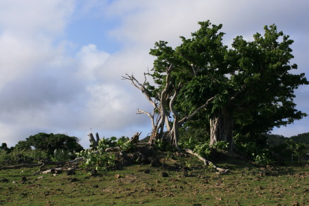 f0097620_23584714.jpg
