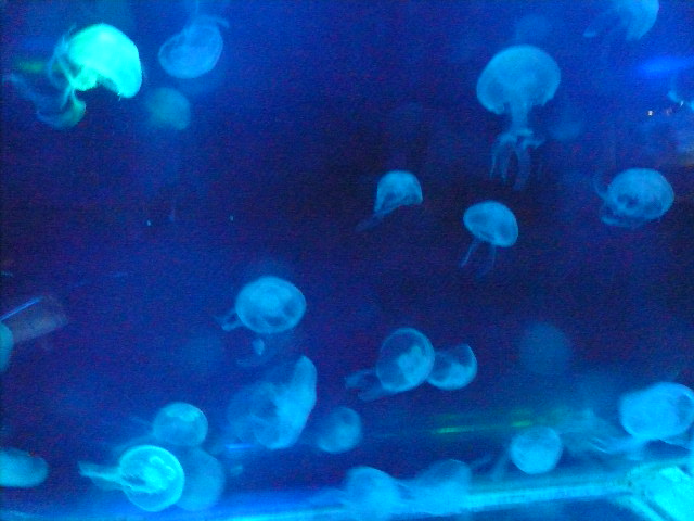 f0163920_0371044.jpg
